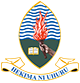 UDSM Logo